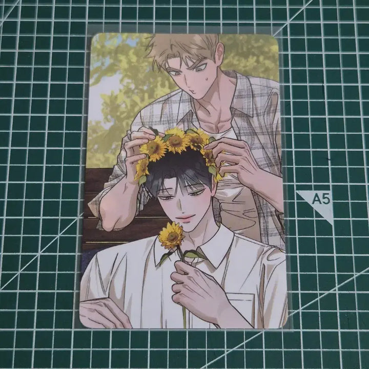 [BUNJANG] Hongsil Quest Pop-Up POB Photocard / 홍실퀘스트 팝업 특전 포토카드