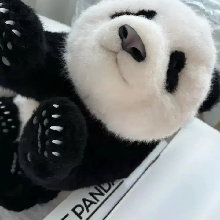 [BUNJANG] Fubao Panda Factory 5-Month-Old Fubao Plush / 푸바오 판다팩토리 5개월푸