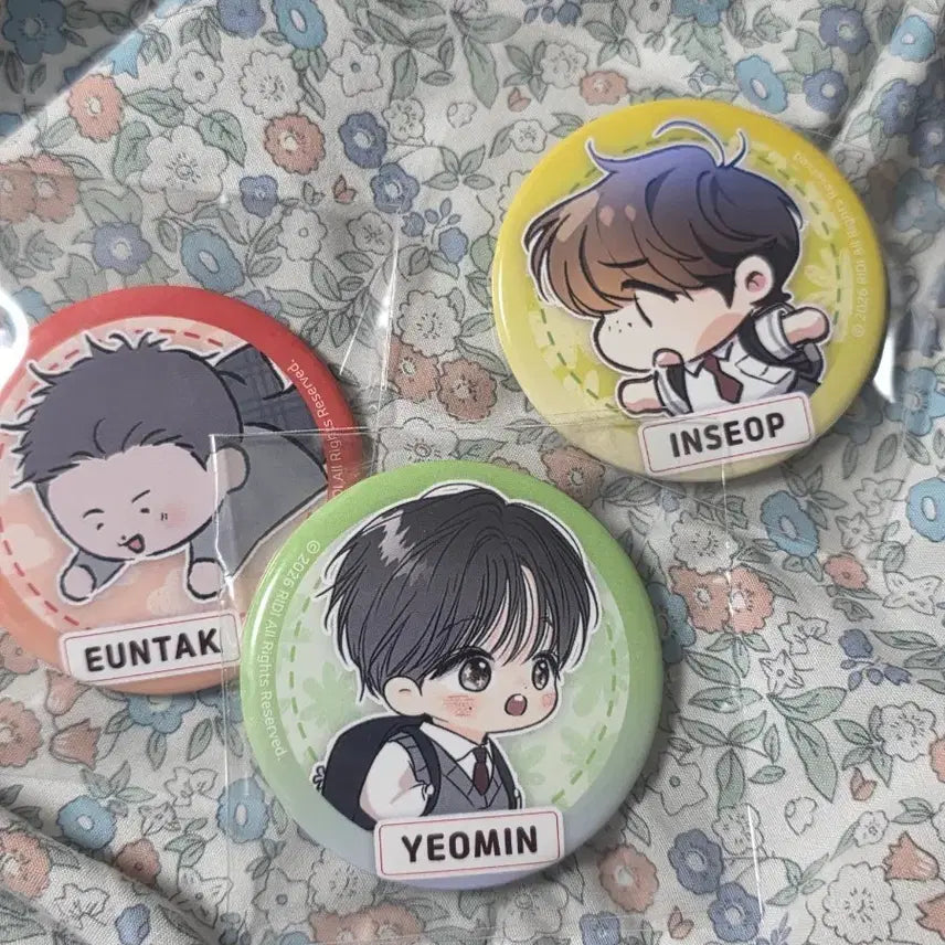 [BUNJANG] Ridi Fantasyte Inseop Euntak Yeomin Goods Badge Set / 리디 판타지트 인셉 은탁 여민 굿즈 뱃지