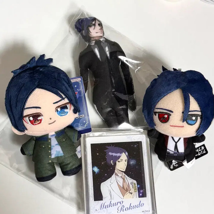 [BUNJANG] Katekyo Hitman Reborn! Rokudo Mukuro Plush Doll / 가히리 가정교사히트맨리본 로쿠도 무쿠로 누이 인형