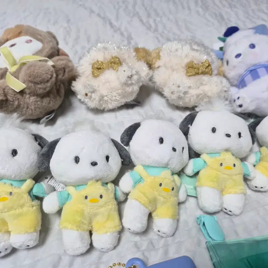 [BUNJANG] Bundle Set Pochacco Goods / 포차코 굿즈 일괄로 팝니다.