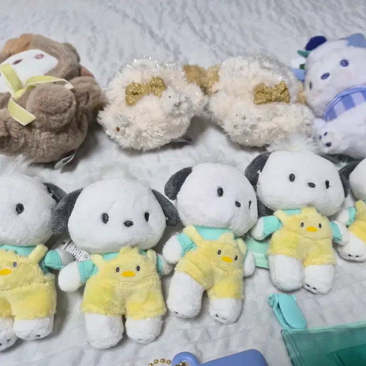 [BUNJANG] Bundle Set Pochacco Goods / 포차코 굿즈 일괄로 팝니다.