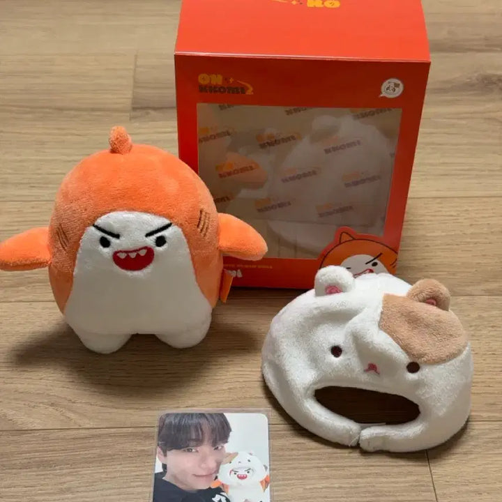 [BUNJANG] ONF ONCOMIZ Teoni Photocard / 온앤오프 이션 온꼬미즈 티오니
