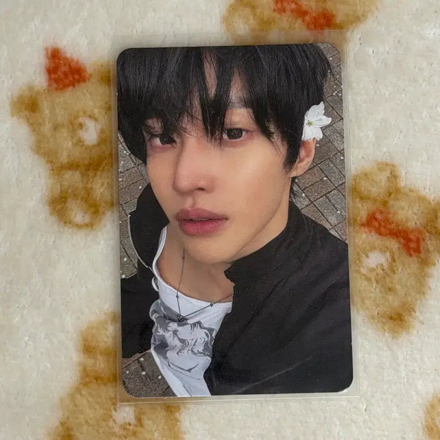 [BUNJANG] RIIZE Wonbin DYD Photobook Photocard A Version / 라이즈 원빈 dyd 포토북 앨포 a버전 포카 굿즈 벚꽃