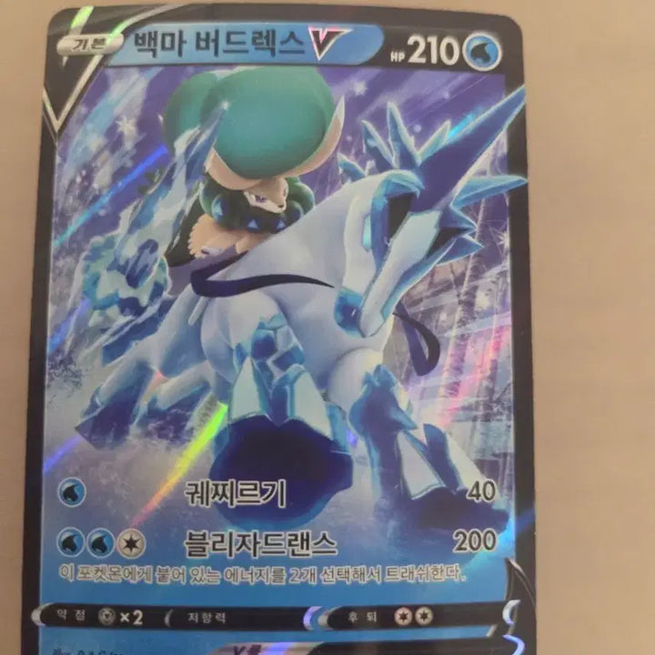[BUNJANG] White Rapidash V RR Card / 백마 버드렉스 V rr