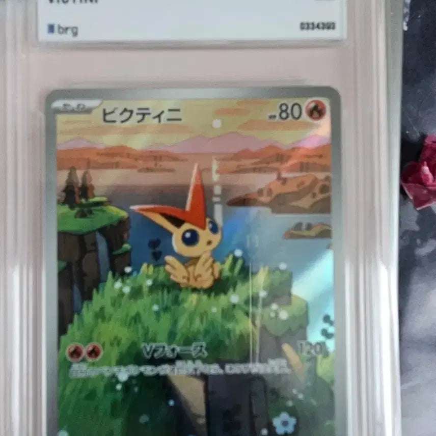 [BUNJANG] Pokemon Card Victini Promo BRG9 / 포켓몬카드 비크티니 프로모 brg9