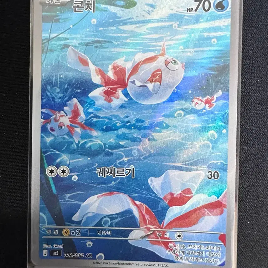 [BUNJANG] Pokemon Card Konchi AR / 포켓몬카드 콘치 AR