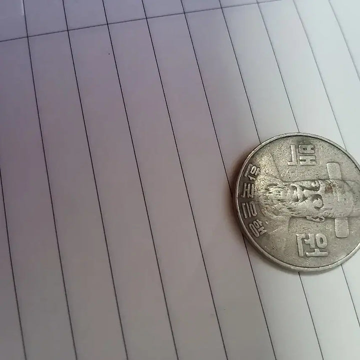 [BUNJANG] 1982 100 Won Coin / 1982년 100원 동전