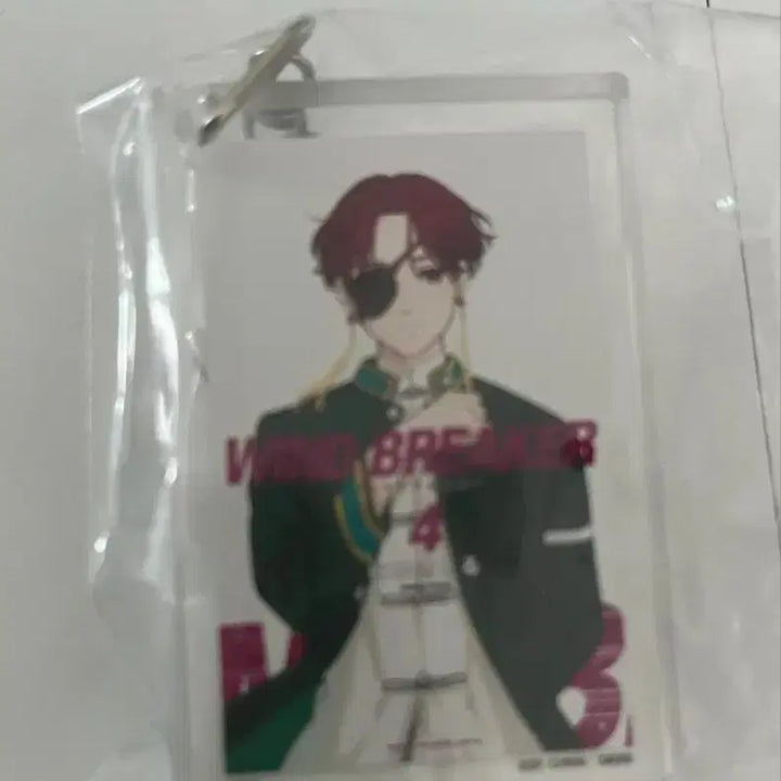 [BUNJANG] Wind Breaker Ichiban Kuji F Prize Sou Acrylic Keyring / 윈브레 제일복권 F상 스오
