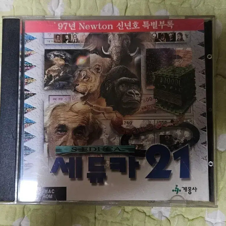 [BUNJANG] Seddyka 21 &