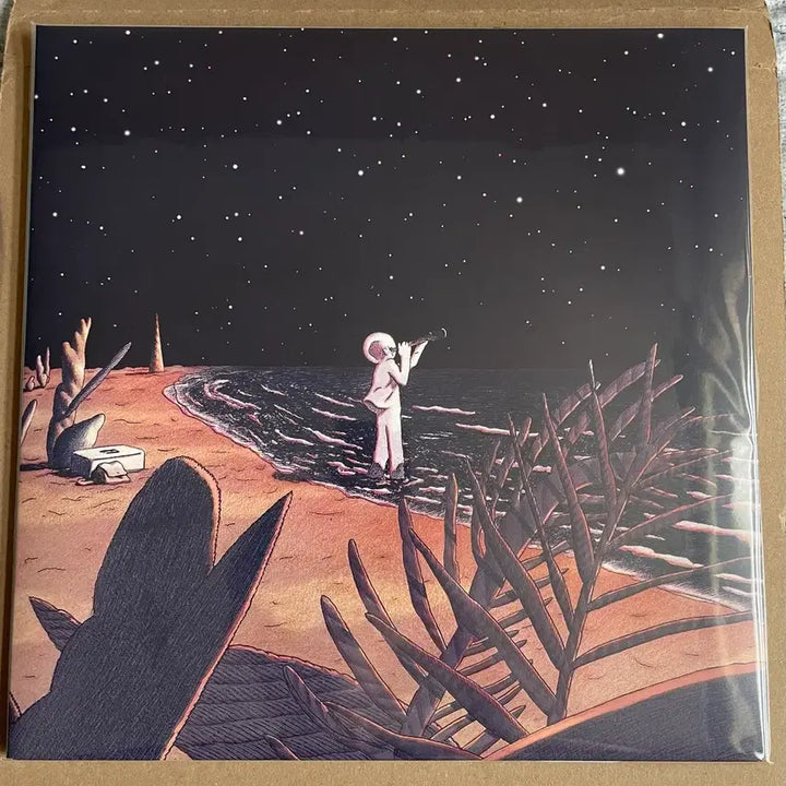 [BUNJANG] Lee Young-hoon "The Picture I Sang 2" LP / 이영훈LP 내가 부른 그림2