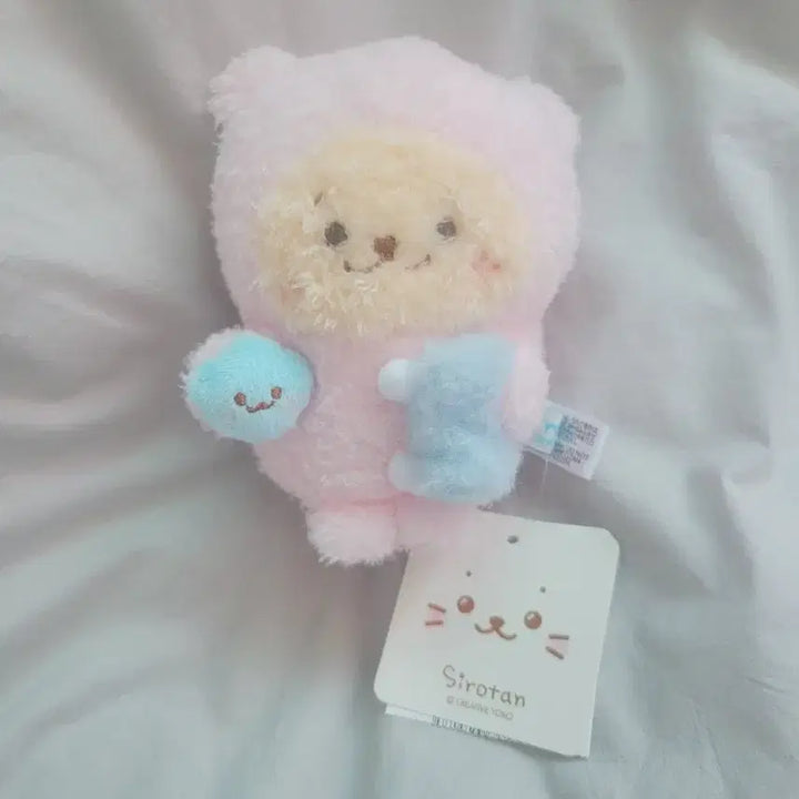 [BUNJANG] Pink Bear Shirotan Plush / 핑크 곰돌이 시로탄 인형