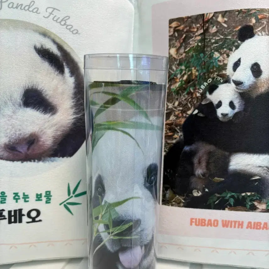 [BUNJANG] Fu Bao First Edition Cushion &amp; Slogan Set / 푸바오 초판굿즈