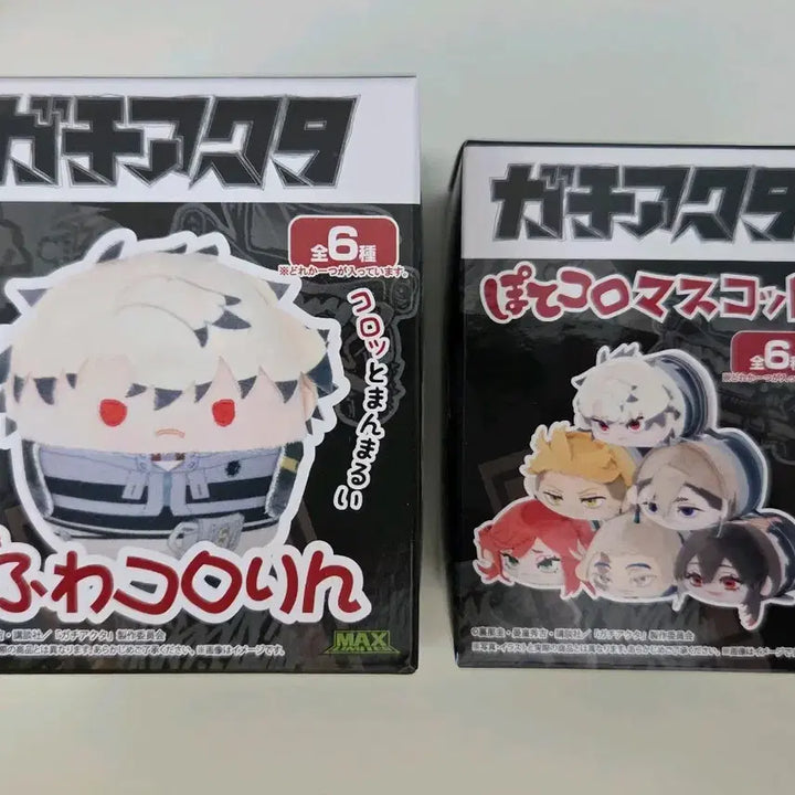 [BUNJANG] Gachiguta Tamuji Fuwacoring, Potecoro Bundle Set / 가치아쿠타 타무지 후와코로링, 포테코로