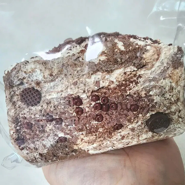 [BUNJANG] 7mo (Hidden) 3-Tier Cookie Toast Squishy / 말랑이 7mo 칠모 (히든) 3단 쿠키토스트