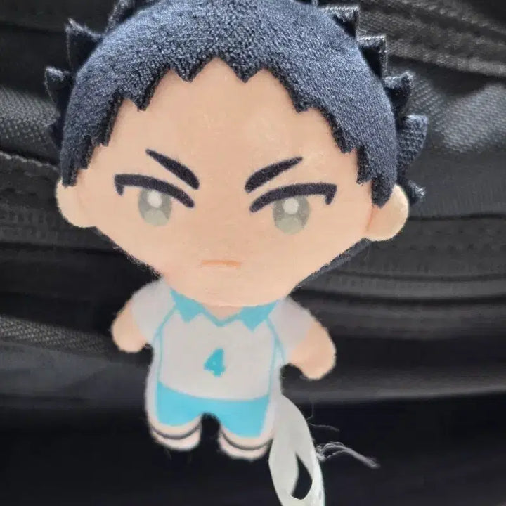 [BUNJANG] Haikyu!! Iwaizumi Hajime Nui Doll (Sealed) / (미개봉)하이큐 이와이즈미 하지메 누이 인형 팔아요