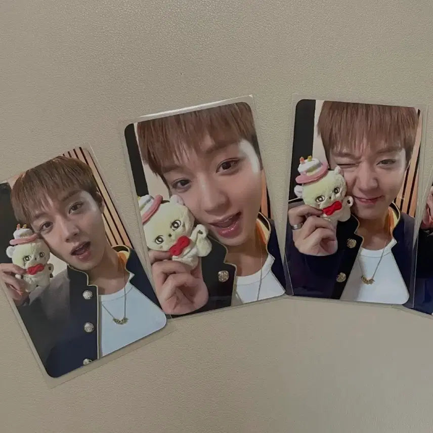 [BUNJANG] Park Jihoon Sosimi Pop-up POB Photocard Set (3 Types) / 박지훈 소심이 팝업 특전포카 3종 세트 일괄