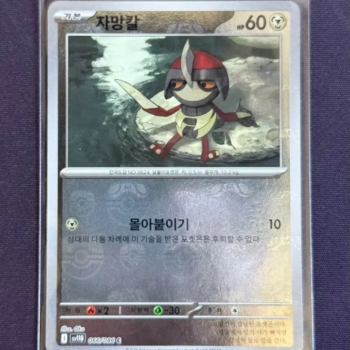 [BUNJANG] Pokemon Card Master Ball Holo 8 Card Set / 포켓몬카드 마스터볼 홀로 8장 세트