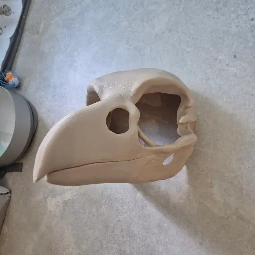 [BUNJANG] Skullbird Fursuit Base / 스컬버드 퍼슈트 베이스