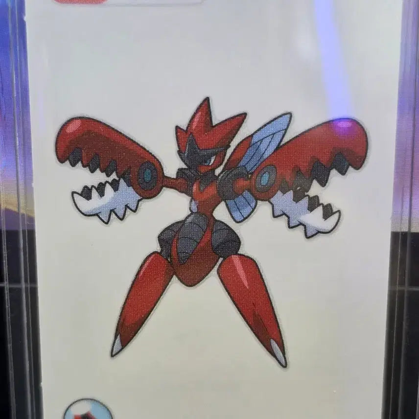 [BUNJANG] Pokemon Sticker Mega Evolution Mega Beedrill / 포켓몬띠부씰 메가진화 메가핫삼