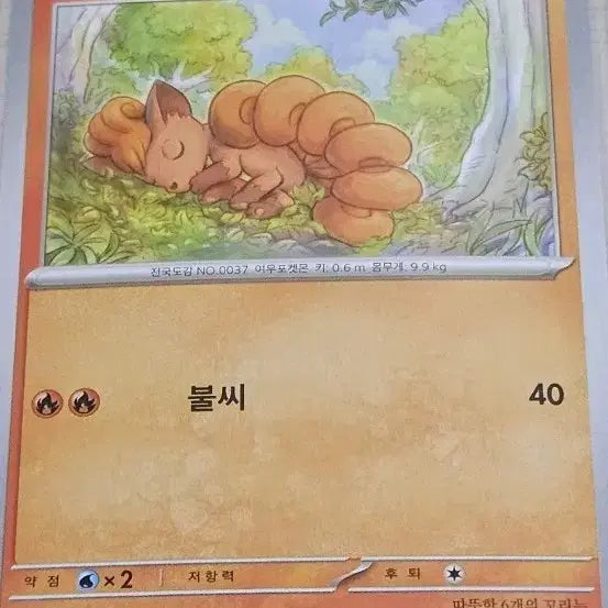 [BUNJANG] Pokemon Card Vulpix &amp; Ninetales Set (6 Cards Total) / 포켓몬카드 식스테일, 나인테일 세트 총6장 [10%할인]