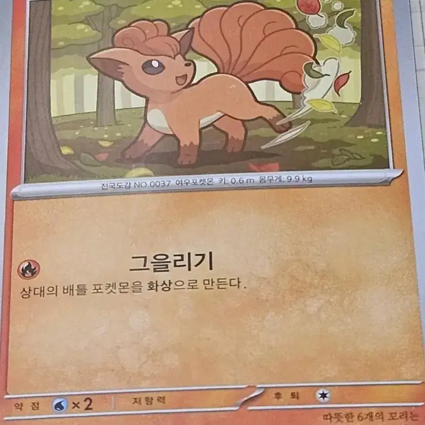 [BUNJANG] Pokemon Card Vulpix &amp; Ninetales Set (6 Cards Total) / 포켓몬카드 식스테일, 나인테일 세트 총6장 [10%할인]