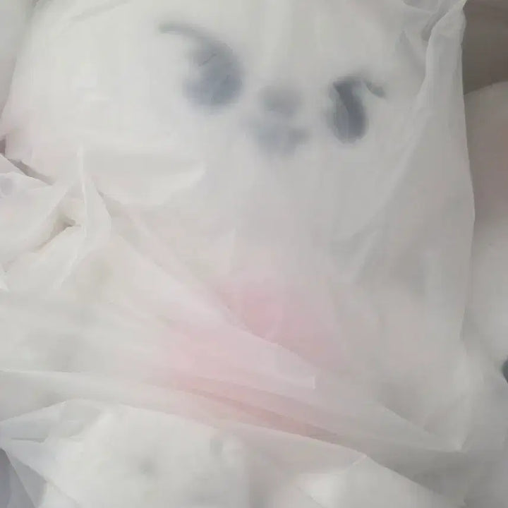 [BUNJANG] Stray Kids SKZOO Ribbit Leebit Teddy Bear Plush (Sealed) / 스트레이키즈 스키즈 테디베어 미개봉 리노 리빗