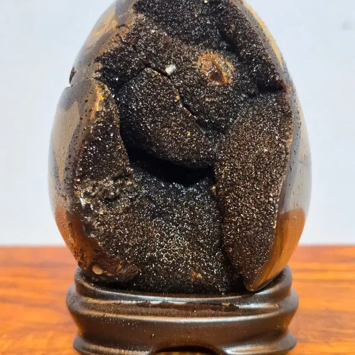 [BUNJANG] Black Scepteria Turtle Shell Stone Mineral Specimen / 26081231 좋은 기운을 주고 변화가 좋은 블랙셉터리아 귀갑석 광물 수석 팝니다