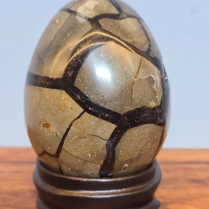 [BUNJANG] Black Scepteria Turtle Shell Stone Mineral Specimen / 26081231 좋은 기운을 주고 변화가 좋은 블랙셉터리아 귀갑석 광물 수석 팝니다