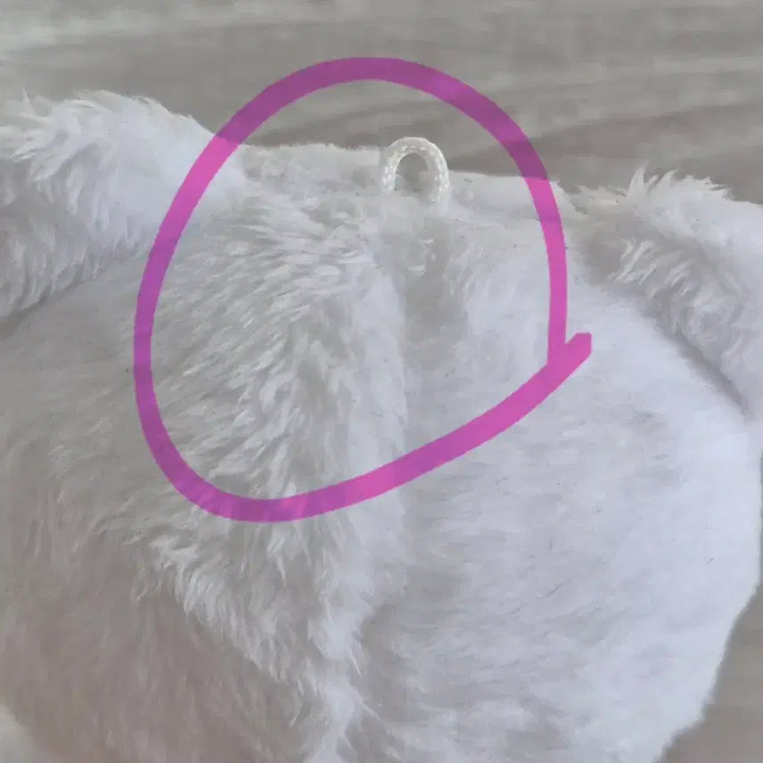 [BUNJANG] SEVENTEEN HOSHI Plush Doll / 세븐틴 호찌 양도 합니다