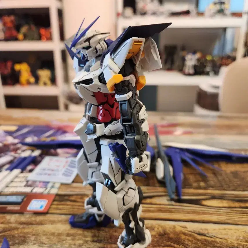 [BUNJANG] MG Astray Gundam / MG 아스트레이 건담