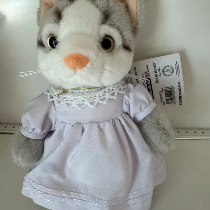 [BUNJANG] Peter Rabbit Cat Plush / 피터래빗 고양이인형