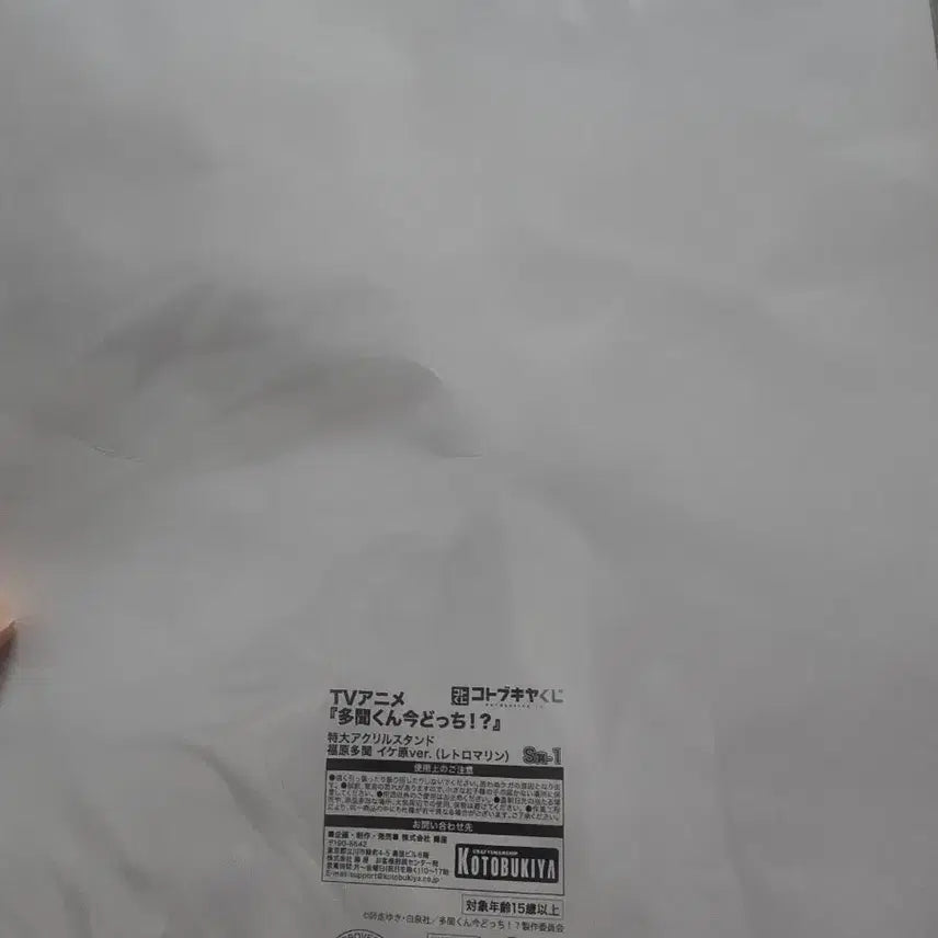 [BUNJANG] Fukuhara Tamon Big Acrylic Stand (Lottery S Prize) / 타몬군지금어느쪽 후쿠하라타몬 타몬 빅아크릴 쿠지 S상