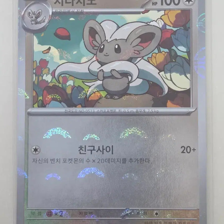 [BUNJANG] Pokemon Card Chirachino &amp; Chirami Monball / 포켓몬카드 치라치노 + 치라미 몬볼