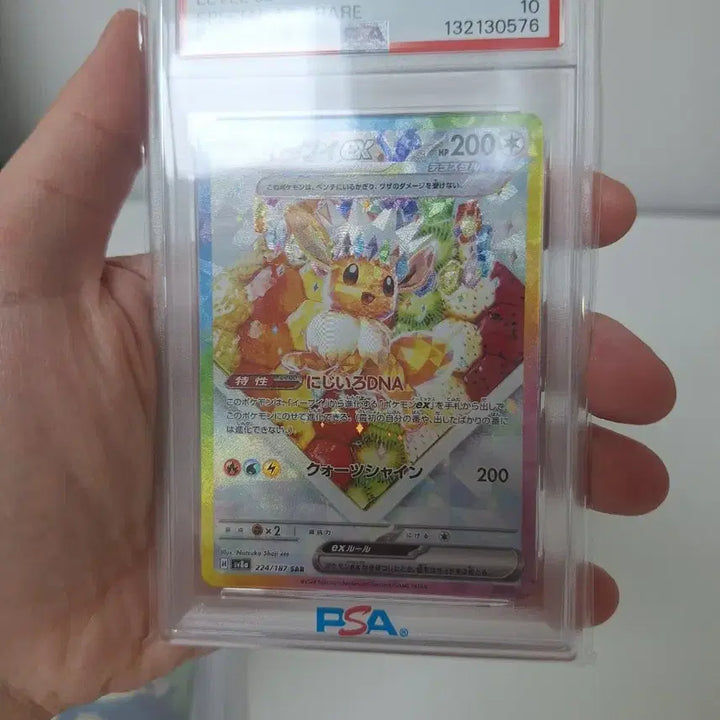 [BUNJANG] Pokemon Card Eevee EX SAR Special Art PSA 10 / 포켓몬 카드 이브이 EX SAR 스페셜 아트 psa10