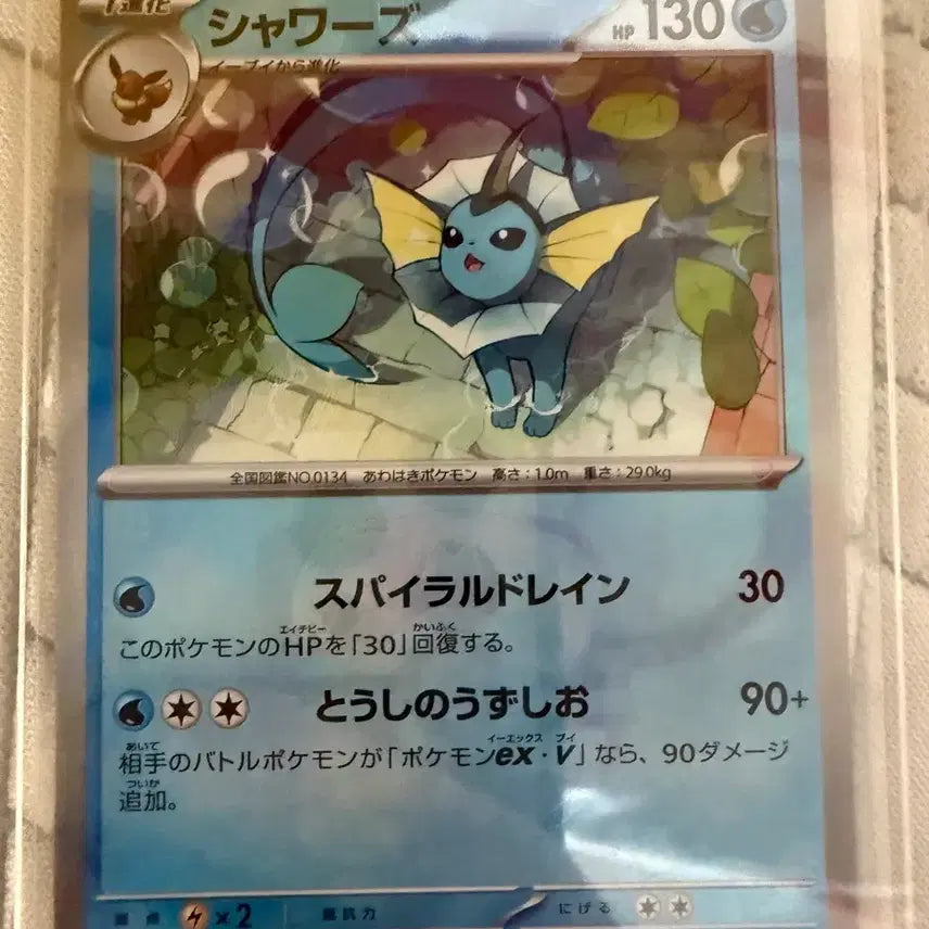 [BUNJANG] Terastal Festa Charizard Master Ball Hologram Card / 일판 테라스탈페스타 샤미드 마스터볼 홀로그램