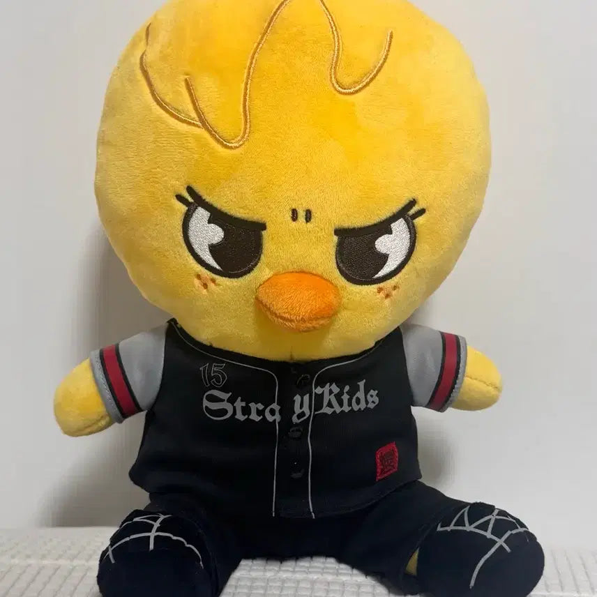 [BUNJANG] Stray Kids Skzoo Bbok Ari Japan Concert MD Goods / 스키즈 스키주 뽁아리 일본 콘서트 엠디 굿즈