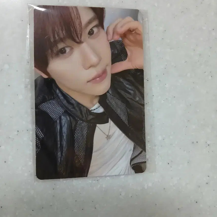 [BUNJANG] NCT WISH Zion Berry Photocard / 엔시티위시 시온 베리즈