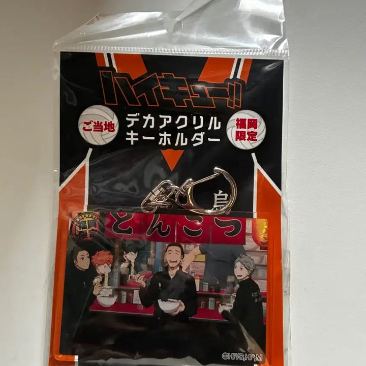 [BUNJANG] Haikyuu!! Acrylic Keychain / 하이큐 아크릴 키홀더