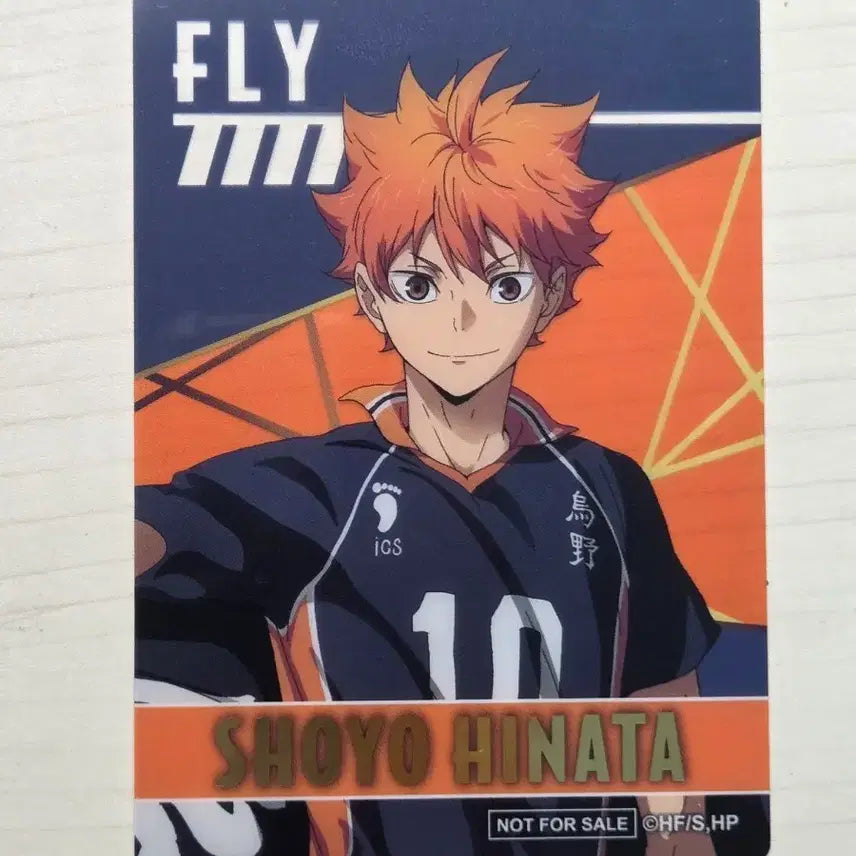 [BUNJANG] Haikyu!! Hinata Shoyo Clear Card / 하이큐 클리어 카드 히나타 쇼요