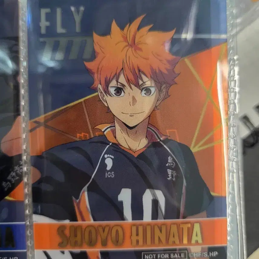 [BUNJANG] Haikyu!! Hinata Shoyo Clear Card / 하이큐 클리어 카드 히나타 쇼요