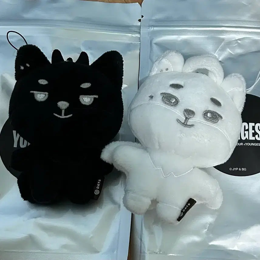 [BUNJANG] DAY6 Young K Demel Devil &amp; Angel Bundle Set (Secret Keyring) / 영기스트 영케이 데멀 악마 &amp; 천사 일괄(시크릿키링)