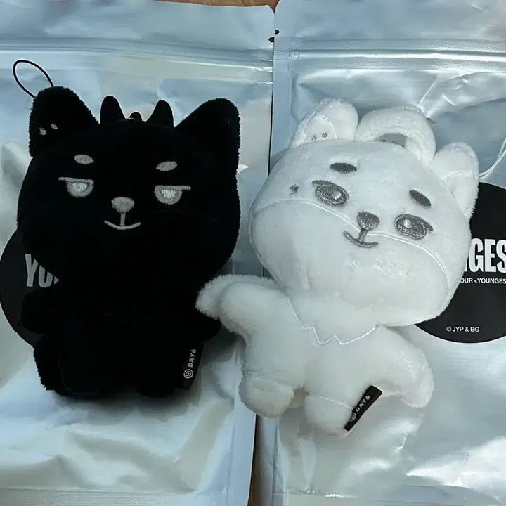 [BUNJANG] DAY6 Young K Demel Devil &amp; Angel Bundle Set (Secret Keyring) / 영기스트 영케이 데멀 악마 &amp; 천사 일괄(시크릿키링)