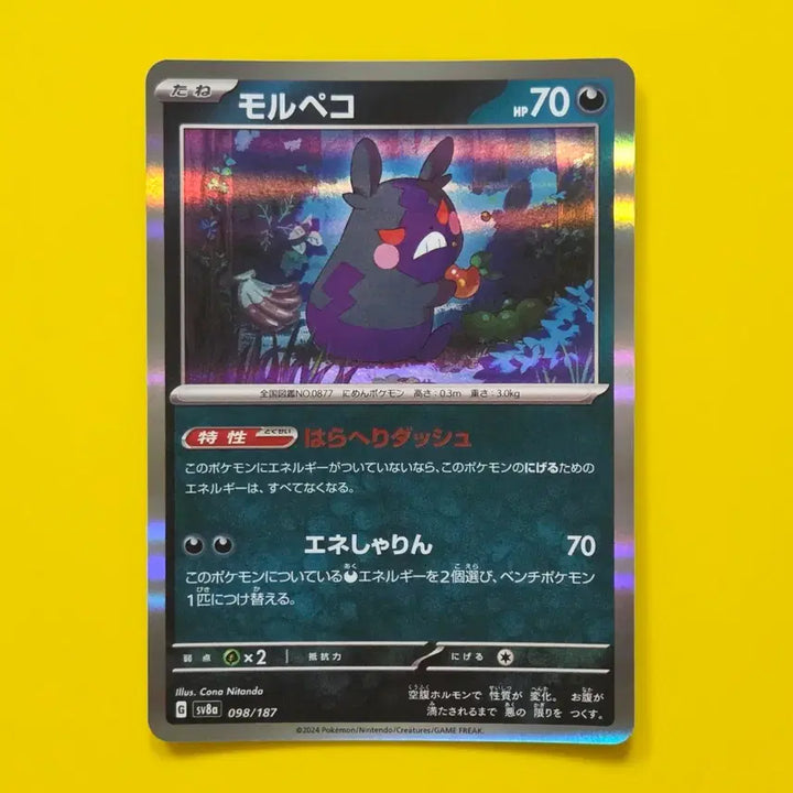 [BUNJANG] Pokemon Card SV8a Morpeko Holo Japanese / 포켓몬카드 sv8a 모르페코 홀로 일판