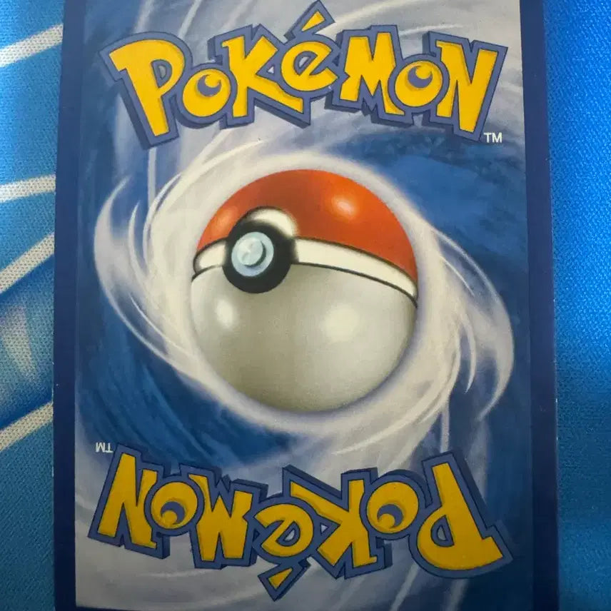 [BUNJANG] Pokemon Card Chikorita CP3 Album Version / 포켓몬 카드 심쿵 치코리타 cp3 앨범용
