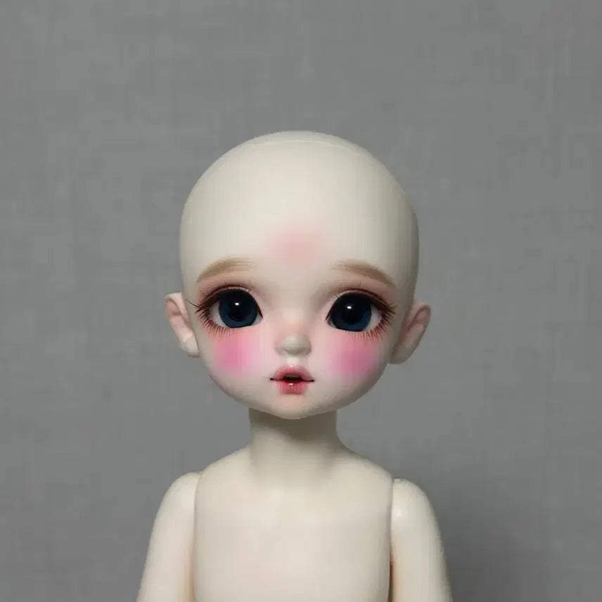 [BUNJANG] Chicabi Bora Wig (Store Exclusive) / 치카비 보라(매장한정),가발