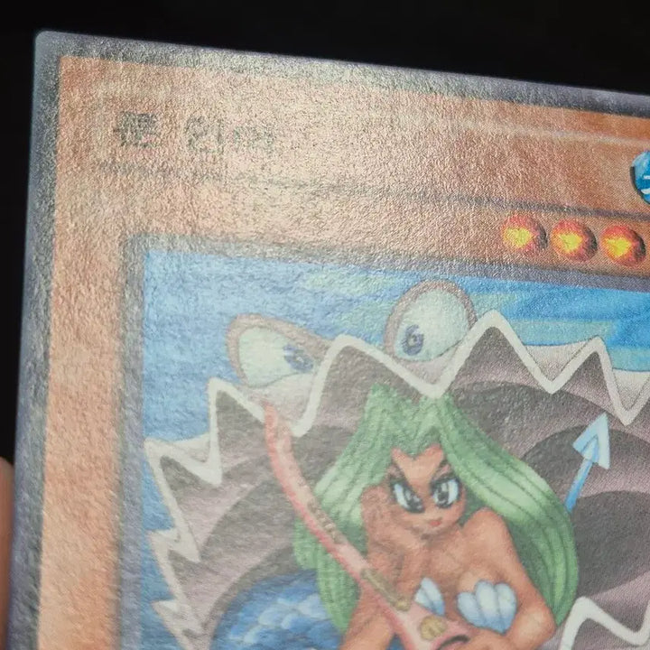 [BUNJANG] Yu-Gi-Oh! Toon Mermaid Normal Parallel Rare / 유희왕 툰 인어 노말퍼에