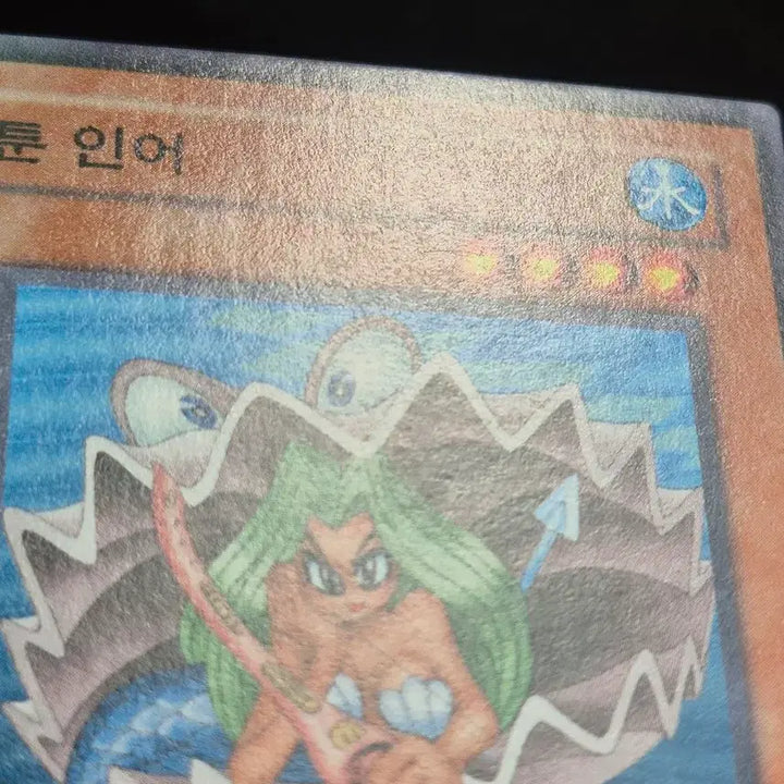 [BUNJANG] Yu-Gi-Oh! Toon Mermaid Normal Parallel Rare / 유희왕 툰 인어 노말퍼에