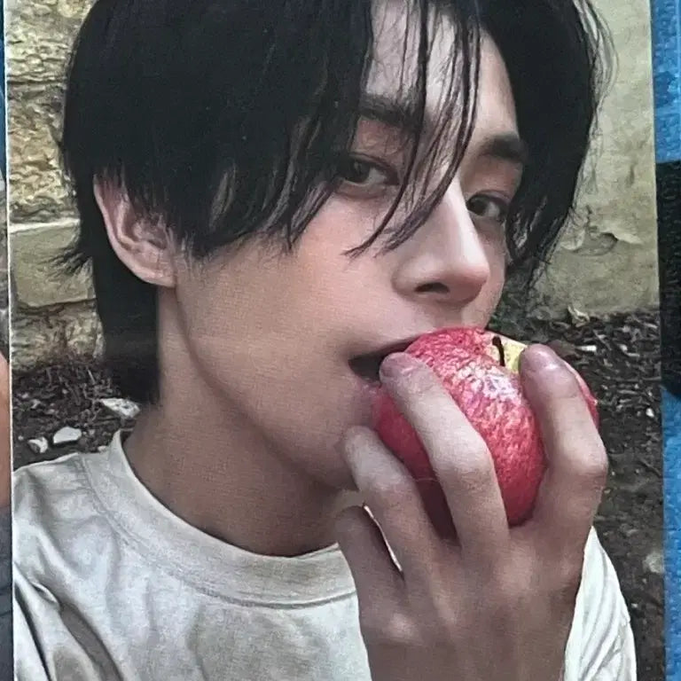 [BUNJANG] ENHYPEN Jake The Sin Vanish Photocard / 엔하이픈 제이크 포카 the sin vanish