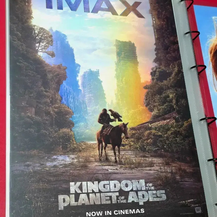 [BUNJANG] Planet of the Apes: New Kingdom IMAX Poster (A3) / [전용박스포장]영화 혹성탈출:새로운시대 IMAX 포스터(A3)